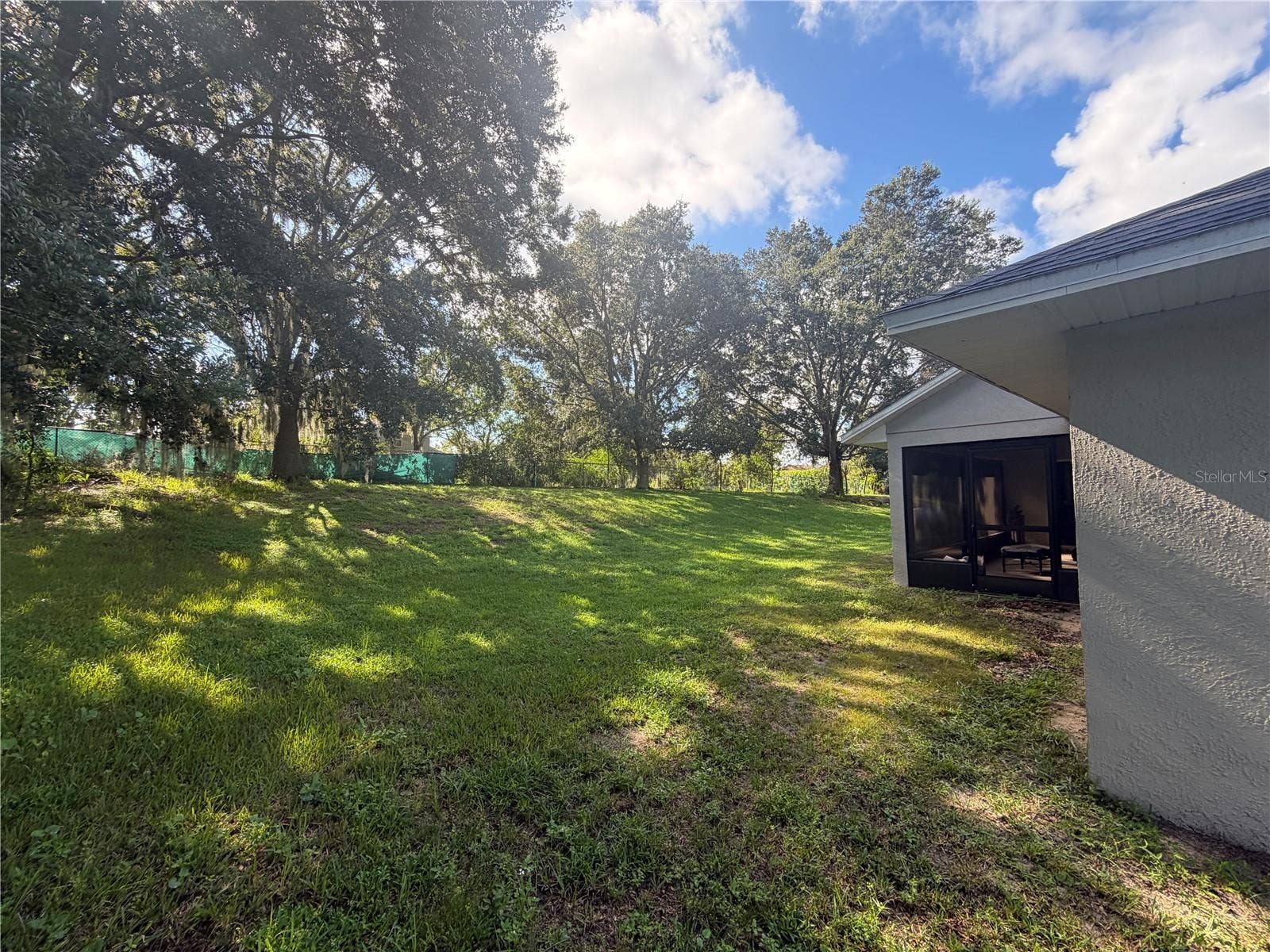 Large, Shady Back Yard