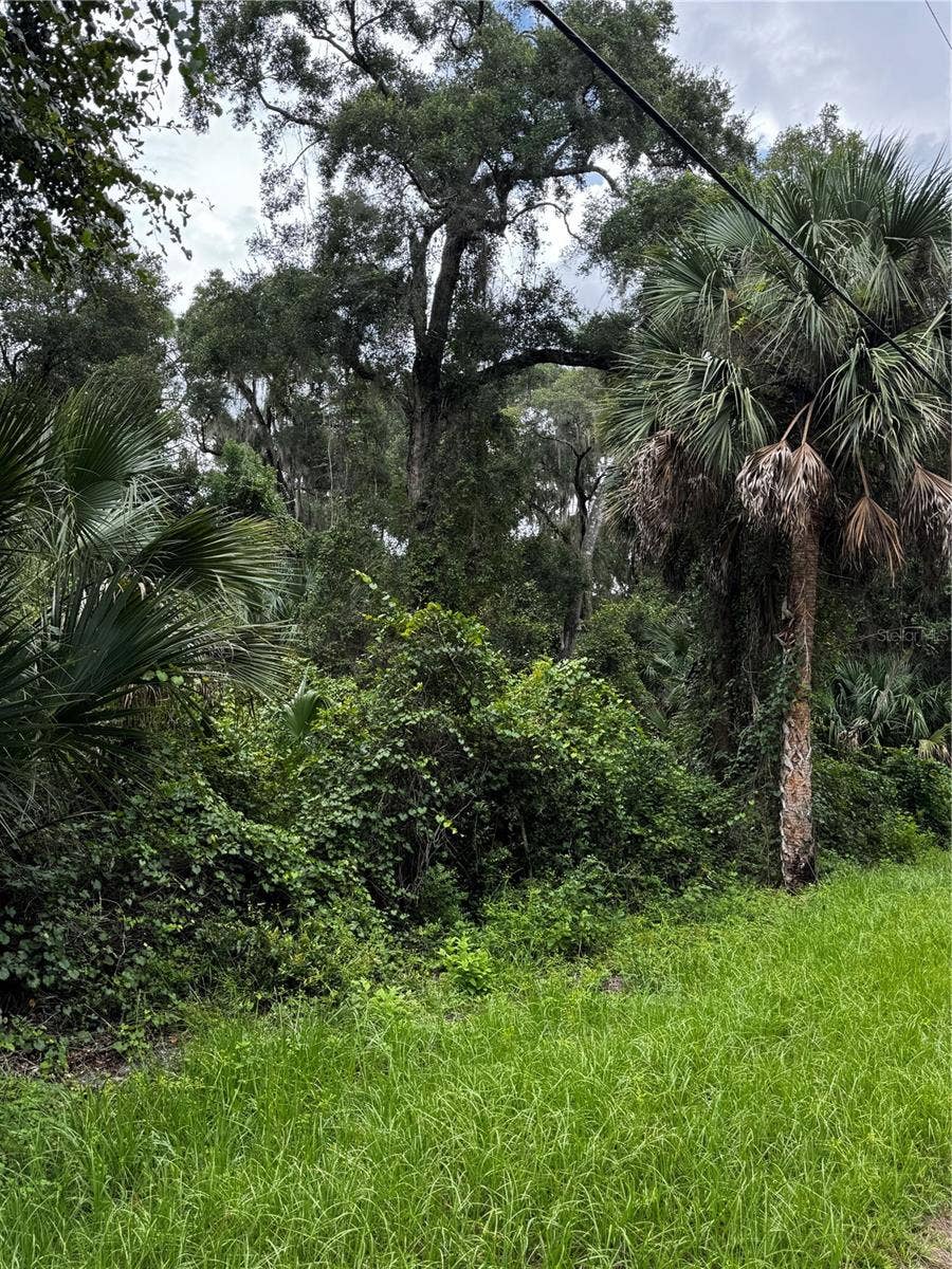 1423 LEMON STREET, Deland, FL 32720