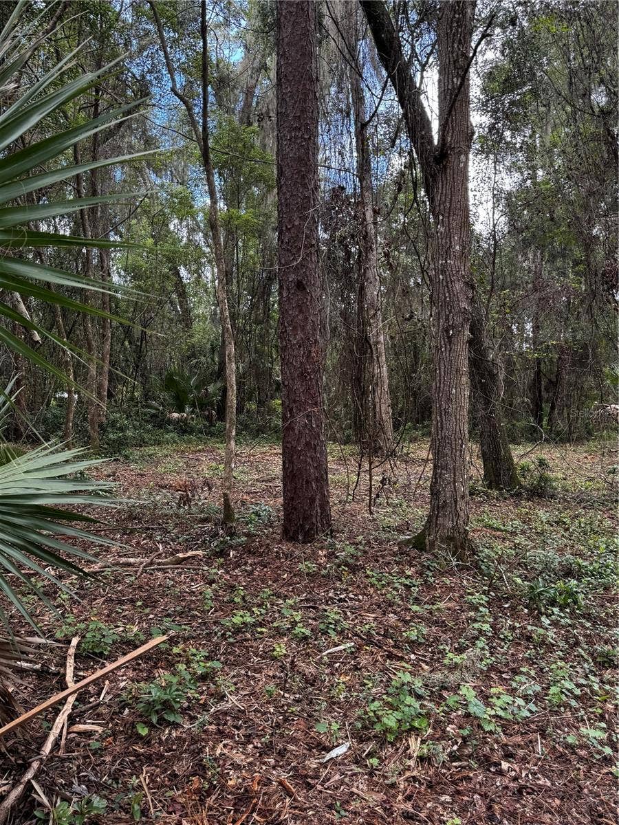 1423 LEMON STREET, Deland, FL 32720