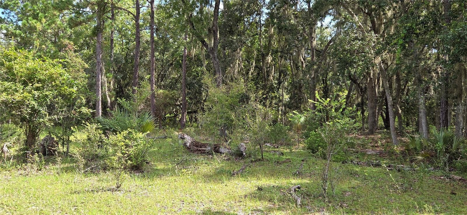 10442 E MOCCASIN SLOUGH ROAD, Inverness, FL 34450 10442 E MOCCASIN SLOUGH ROAD, Inverness, FL 34450