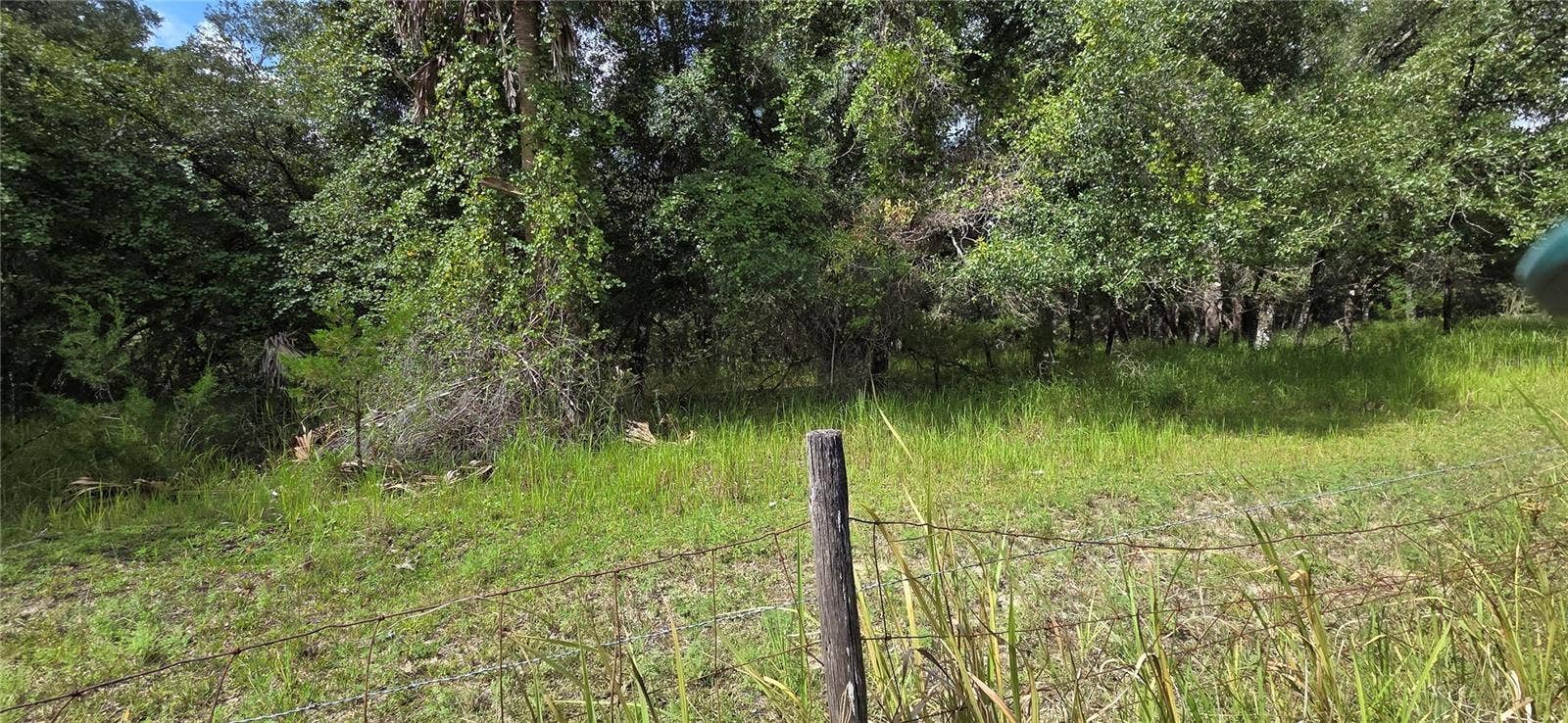 10442 E MOCCASIN SLOUGH ROAD, Inverness, FL 34450 10442 E MOCCASIN SLOUGH ROAD, Inverness, FL 34450