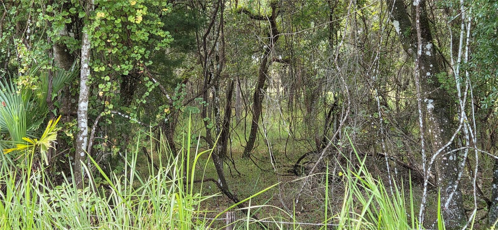 10442 E MOCCASIN SLOUGH ROAD, Inverness, FL 34450 10442 E MOCCASIN SLOUGH ROAD, Inverness, FL 34450