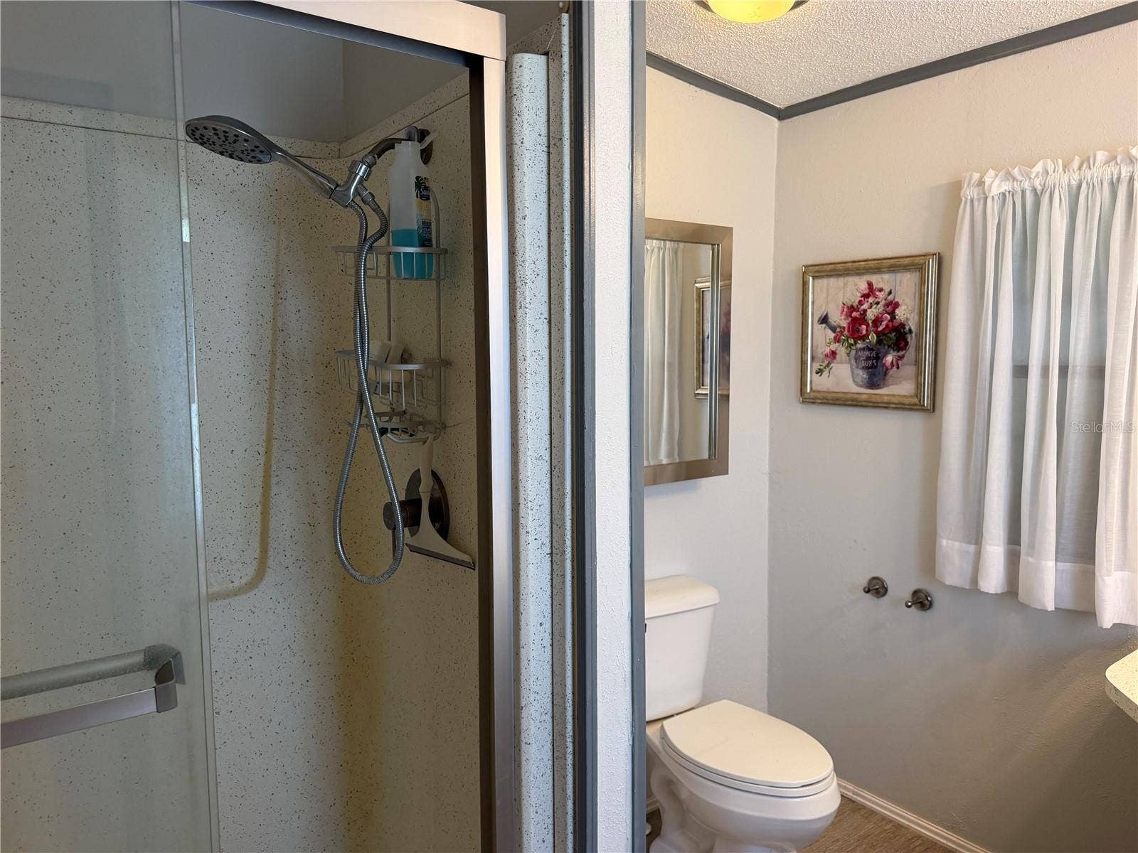 25606 BELLE ALLIANCE DRIVE, Leesburg, FL 34748 25606 BELLE ALLIANCE DRIVE, Leesburg, FL 34748