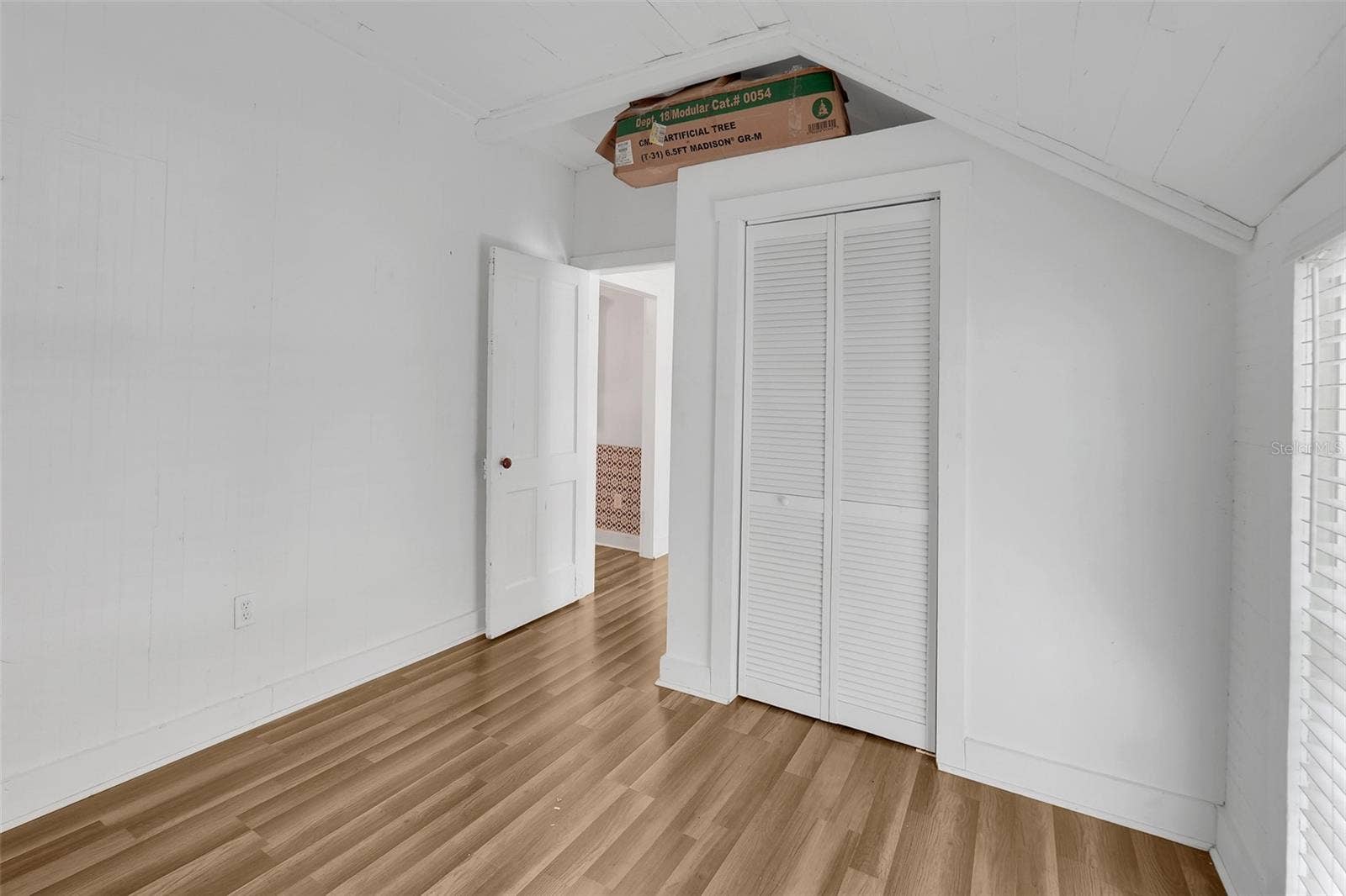 7306 EARLWOOD AVENUE, Mount Dora, FL 32757 7306 EARLWOOD AVENUE, Mount Dora, FL 32757