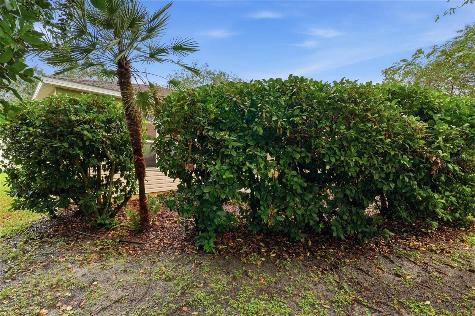 3565 IDLEWOOD LOOP, The Villages, FL 32162 3565 IDLEWOOD LOOP, The Villages, FL 32162