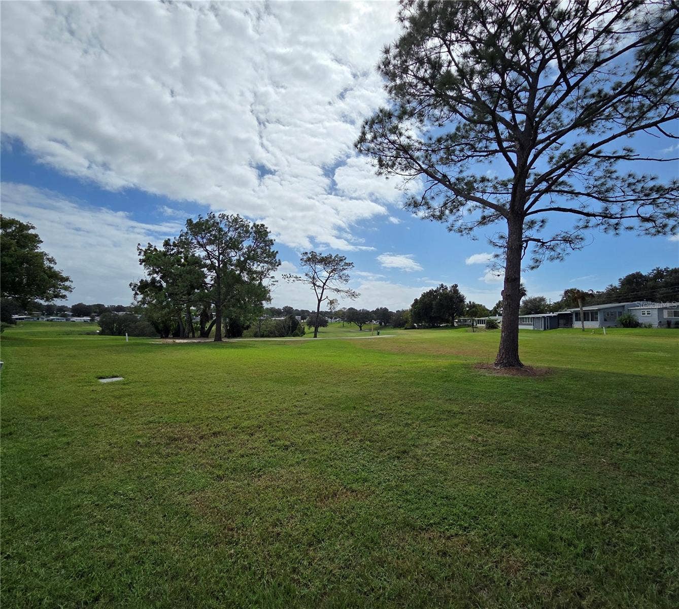 2430 FAIRBLUFF ROAD, #1556, Zellwood, FL 32798