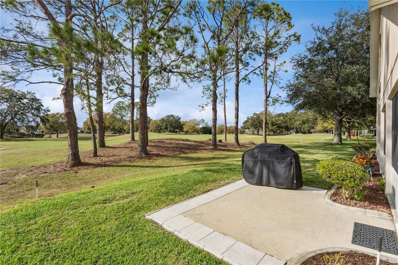 24215 BELLE MEDE DRIVE, Leesburg, FL 34748 24215 BELLE MEDE DRIVE, Leesburg, FL 34748