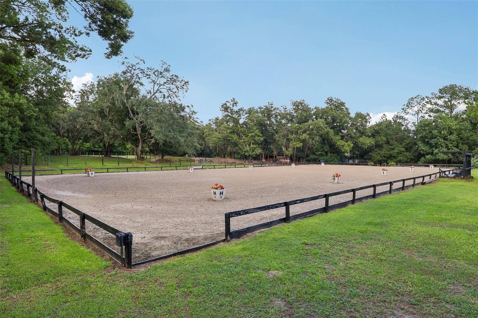 22301 CORONADO SOMERSET DRIVE, Sorrento, FL 32776 Arena