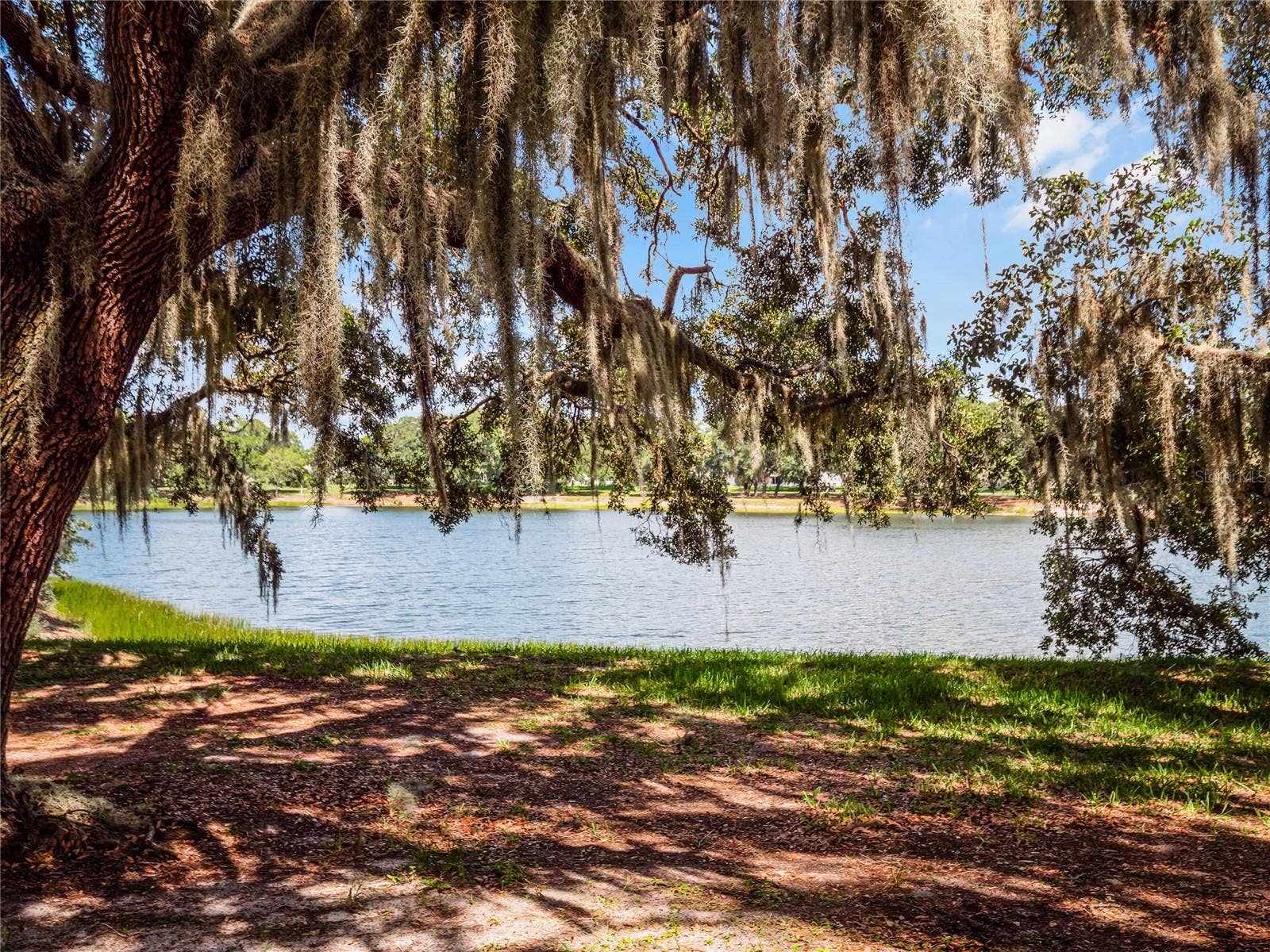 One of four, catch and release lakes within the community
