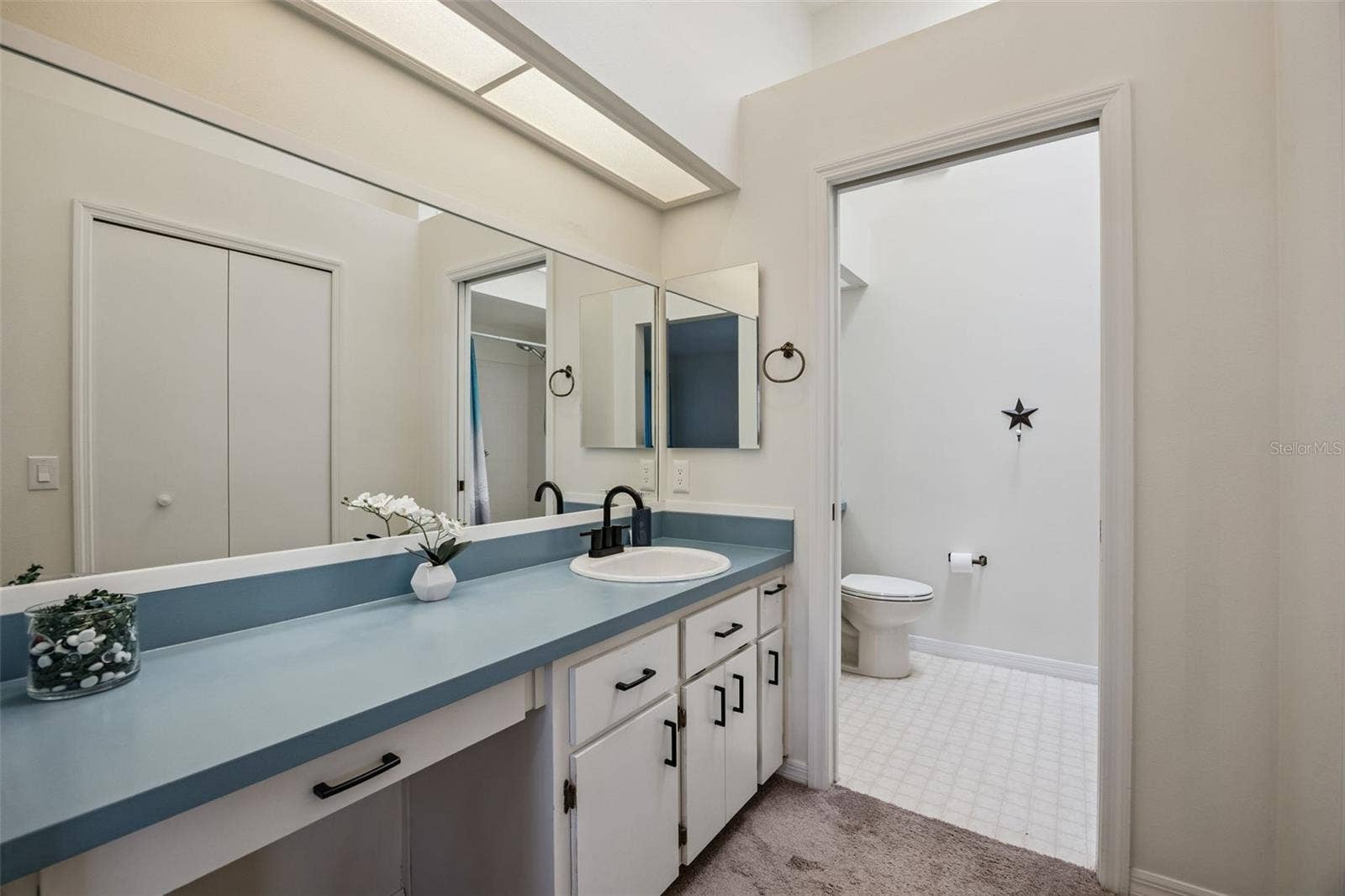 26032 NEWCOMBE CIRCLE, Leesburg, FL 34748