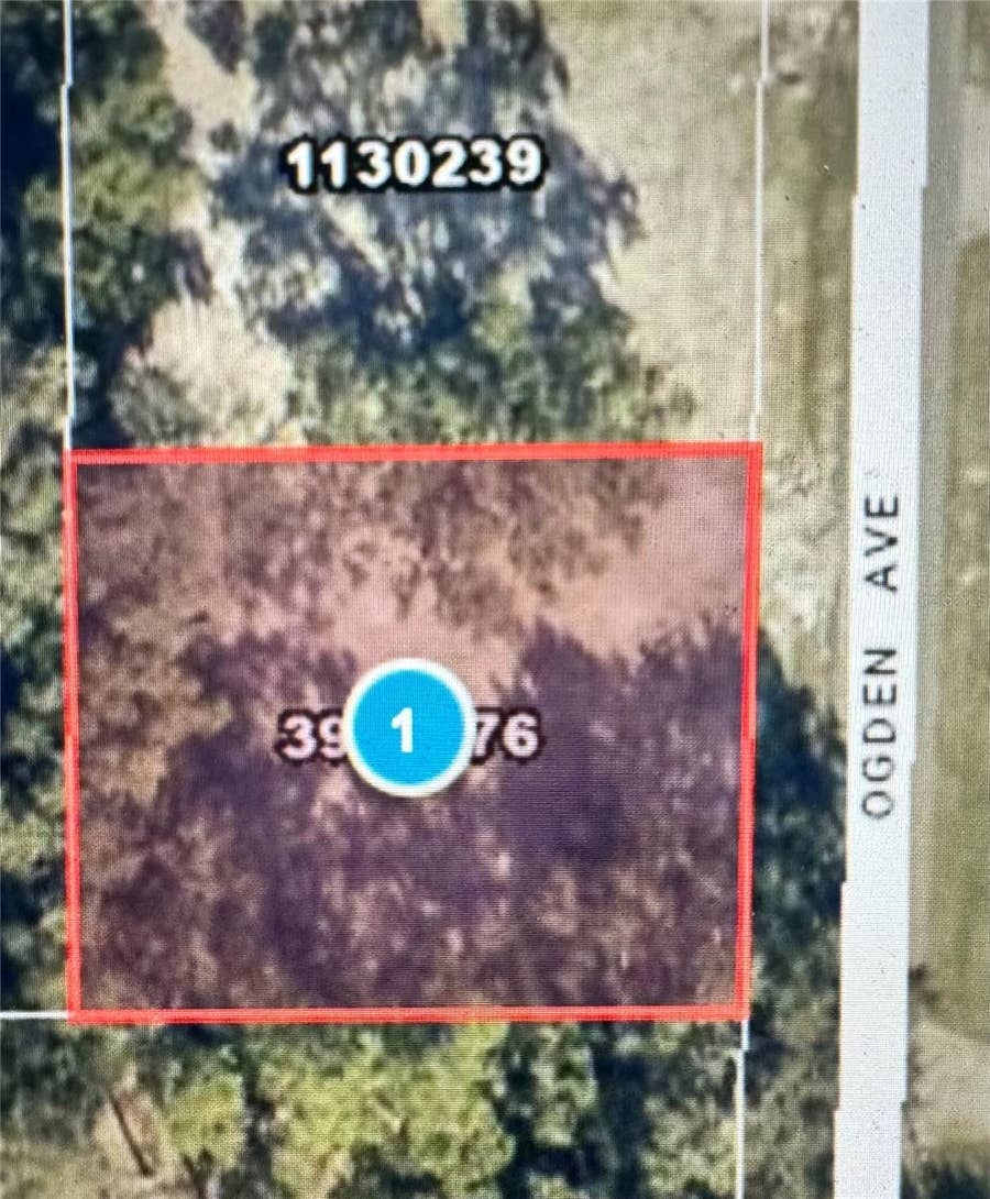 Property photo for 525 OGDEN AVENUE, Umatilla, FL