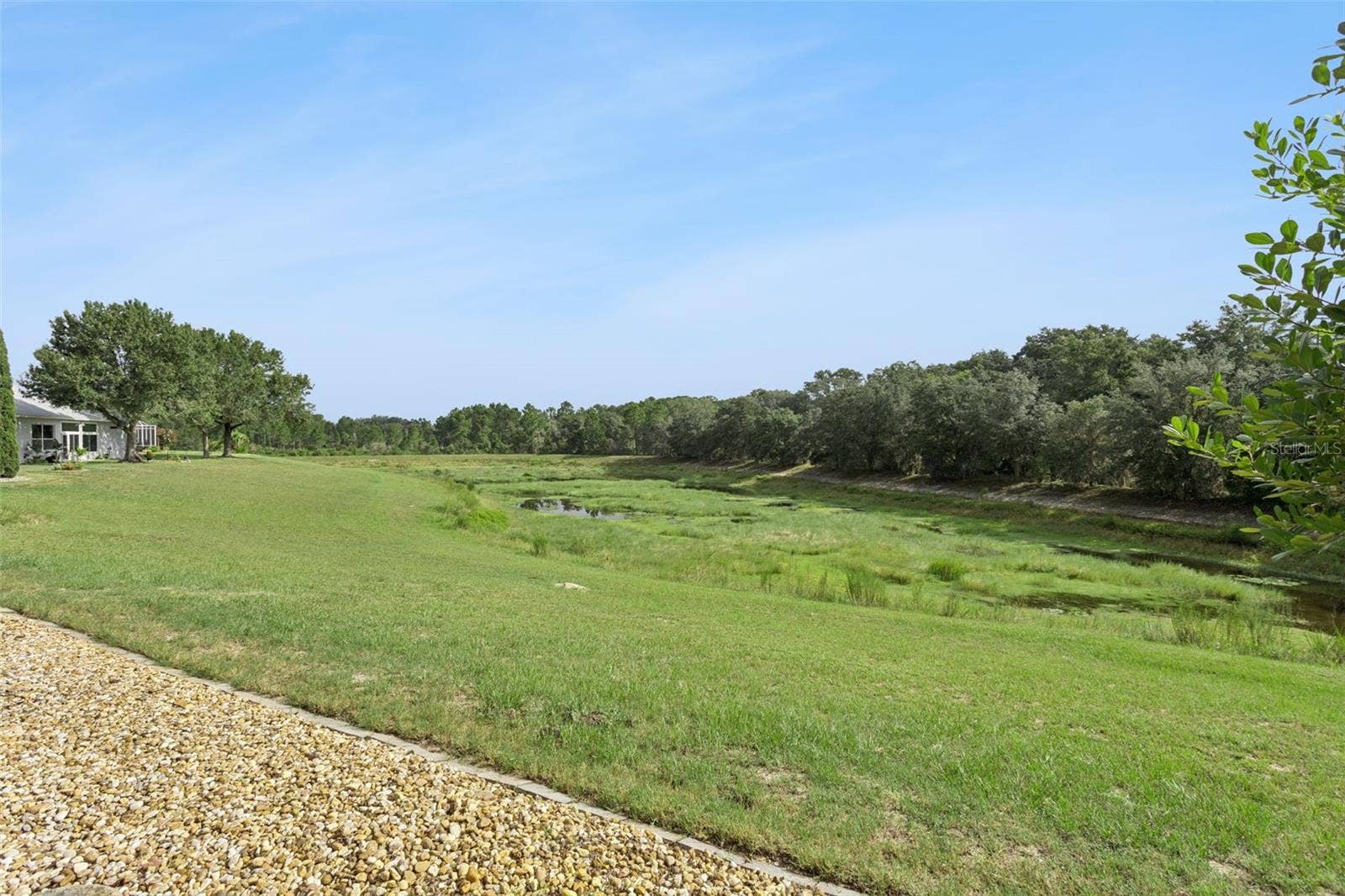 24242 E BELLE MEDE DRIVE, Leesburg, FL 34748 Nature View behind home