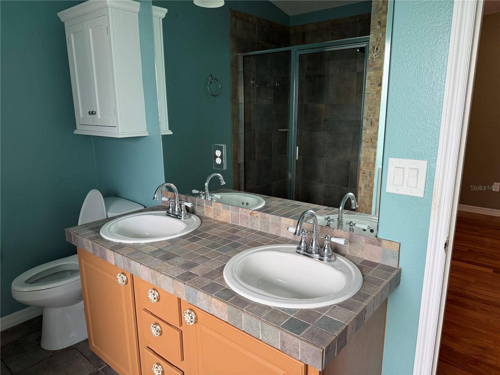 1111 ARBOR HILL CIRCLE, Minneola, FL 34715