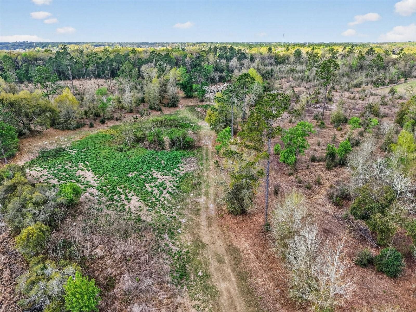 ISLAND POND LANE, Eustis, FL 32736 ISLAND POND LANE, Eustis, FL 32736