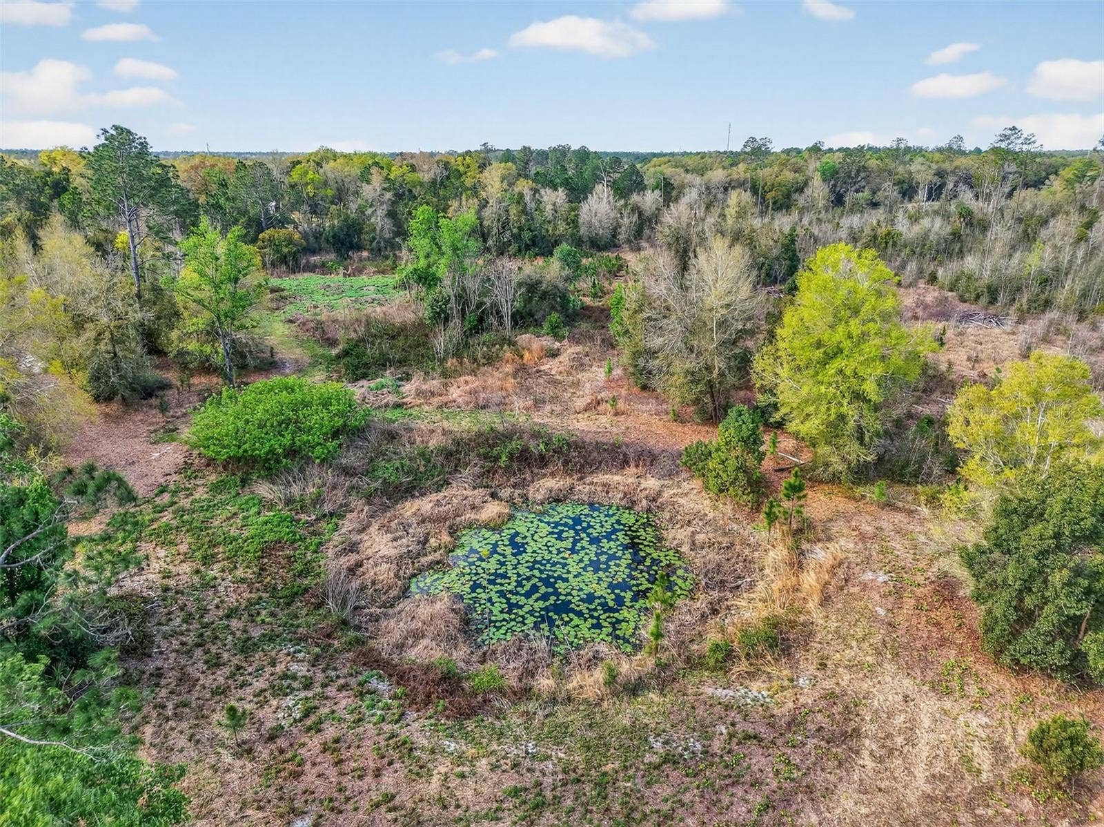 ISLAND POND LANE, Eustis, FL 32736 ISLAND POND LANE, Eustis, FL 32736