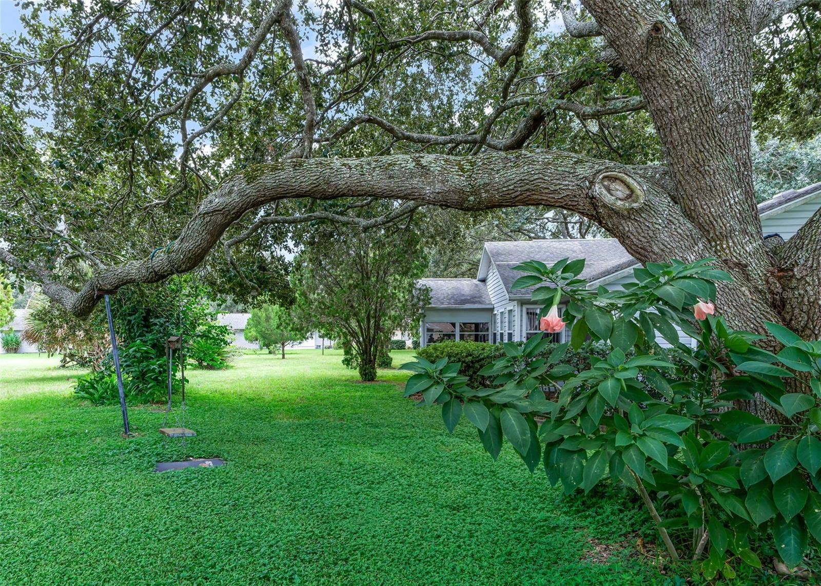2311 BONNIE VIEW COURT, Leesburg, FL 34788 2311 BONNIE VIEW COURT, Leesburg, FL 34788