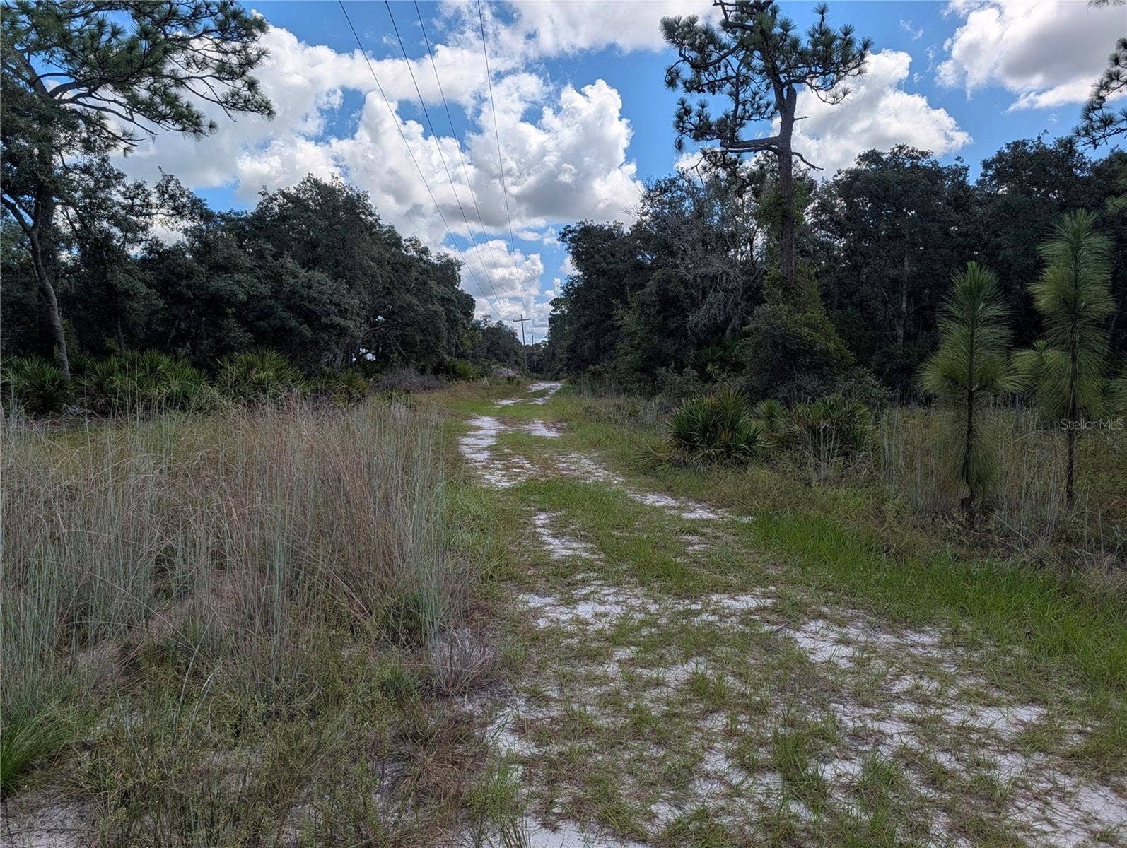 XXX WEDGEWOOD CIRCLE, Mount Dora, FL 32757 XXX WEDGEWOOD CIRCLE, Mount Dora, FL 32757