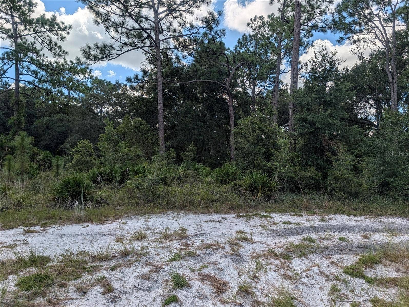 XXX WEDGEWOOD CIRCLE, Mount Dora, FL 32757 XXX WEDGEWOOD CIRCLE, Mount Dora, FL 32757