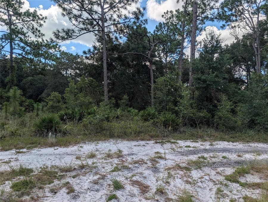 Property photo for XXX WEDGEWOOD CIRCLE, Mount Dora, FL