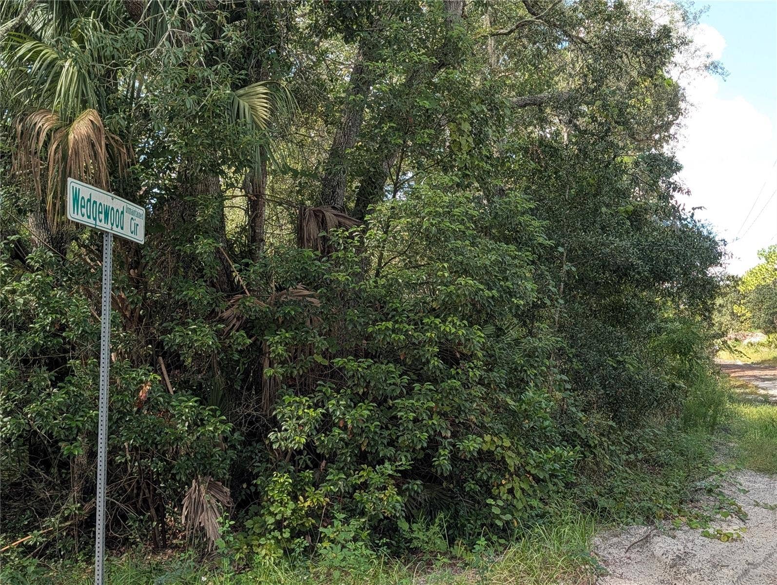 XXX WEDGEWOOD CIRCLE, Mount Dora, FL 32757 XXX WEDGEWOOD CIRCLE, Mount Dora, FL 32757
