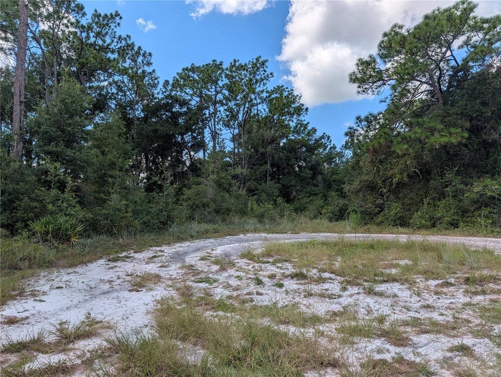 XXX WEDGEWOOD CIRCLE, Mount Dora, FL 32757 XXX WEDGEWOOD CIRCLE, Mount Dora, FL 32757