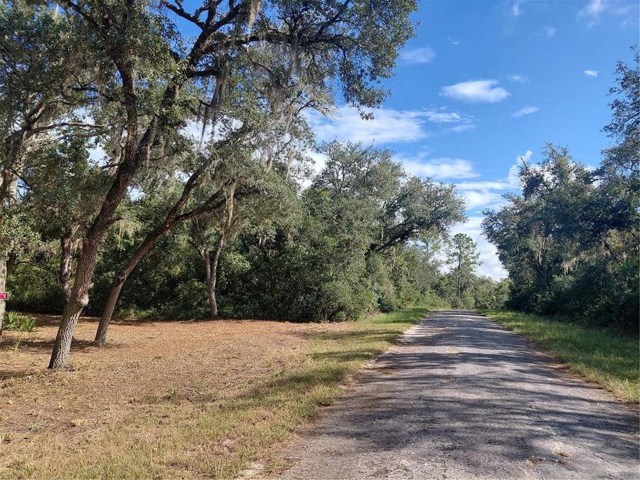 Property photo for GRINDSTONE DRIVE, Webster, FL