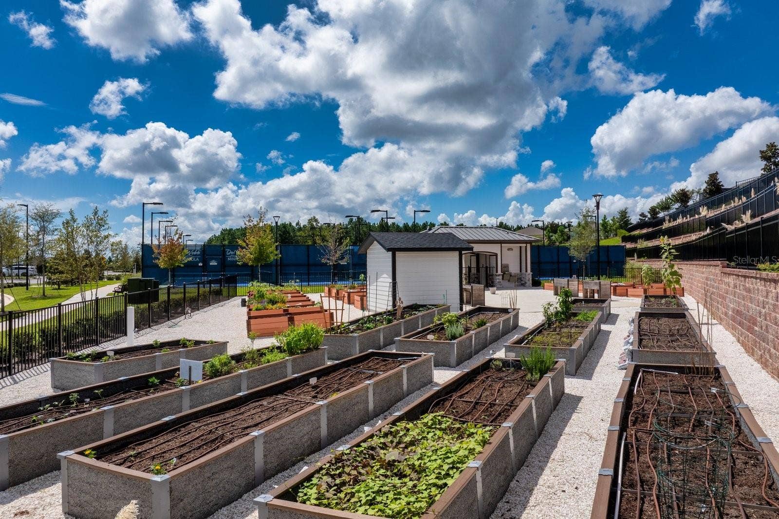 1323 ORANGE VALLEY ROAD, Minneola, FL 34715 Community Garden