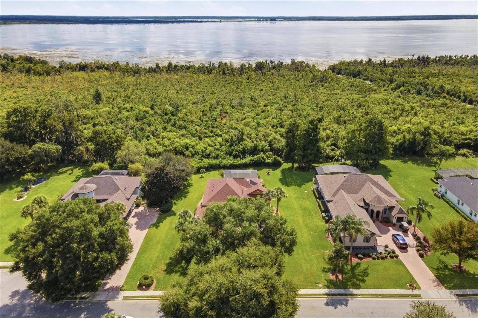 39118 GRIFFIN LANDING, Lady Lake, FL 32159 Ariel of your very own view of back yard.