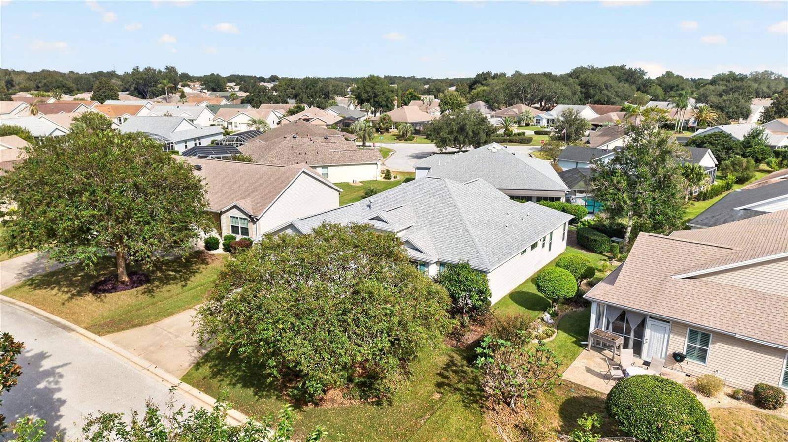 16969 SE 92ND PELHAM AVENUE, The Villages, FL 32162