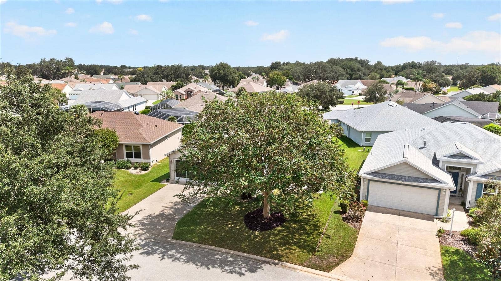 16969 SE 92ND PELHAM AVENUE, The Villages, FL 32162