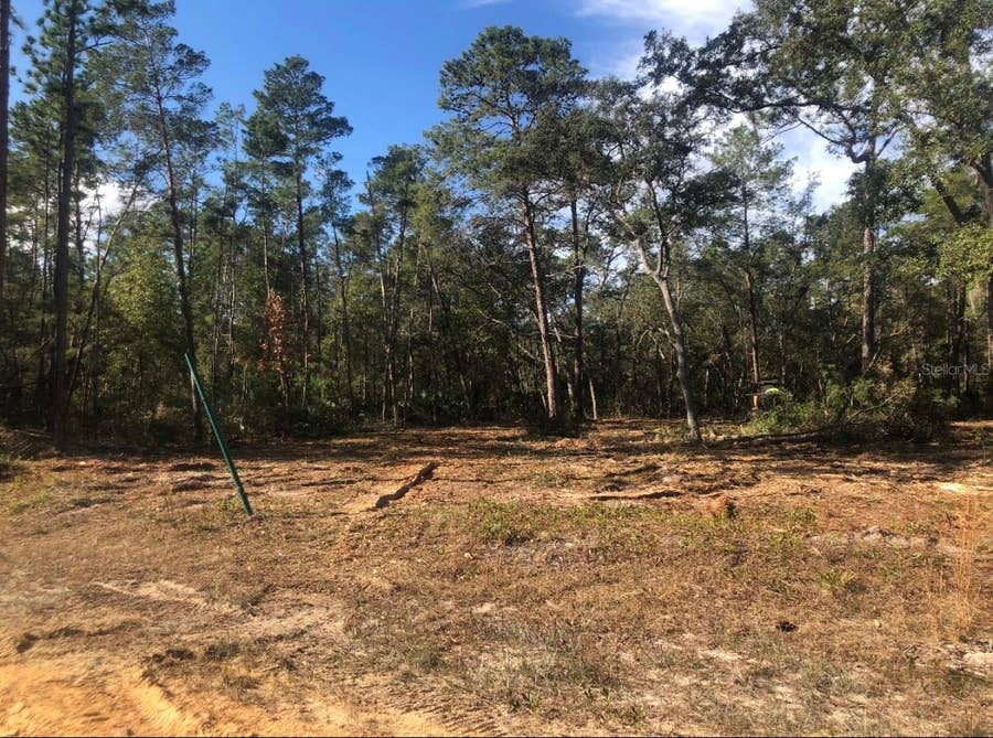 Property photo for 819 CREAGEER AVENUE, Interlachen, FL
