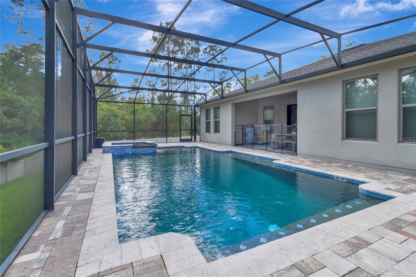 8524 VIVARO ISLE WAY, Windermere, FL 34786 Pool Area