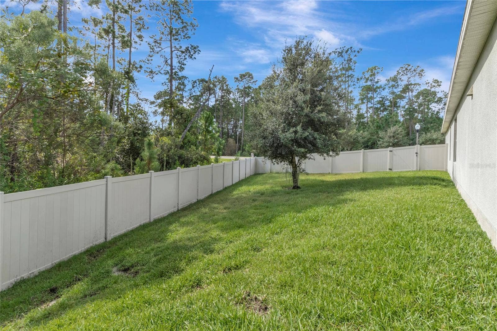 8524 VIVARO ISLE WAY, Windermere, FL 34786 Backyard