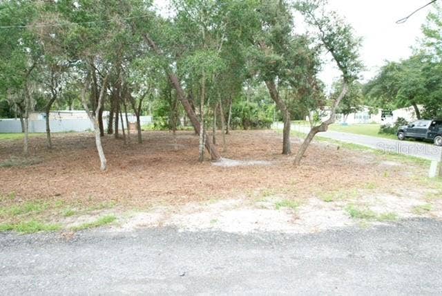 Property photo for LUELLA AVENUE, Paisley, FL