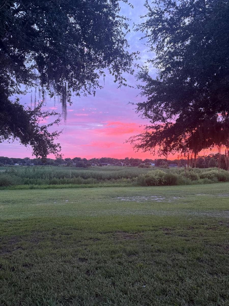 1066 VILLA LANE, #63, Apopka, FL 32712 This is not AI; it's a photo taken with a phone from the patio of this home - breathtaking!