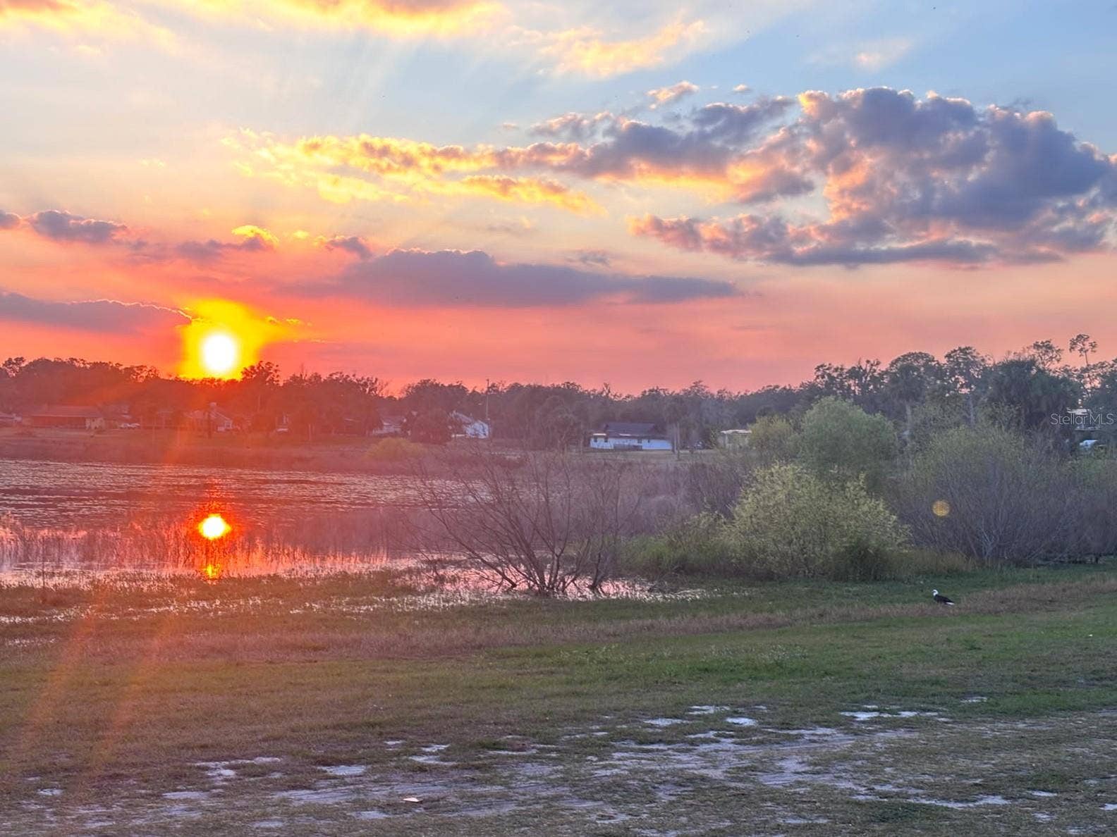 1066 VILLA LANE, #63, Apopka, FL 32712 Is this an American bald eagle also enjoying your sunset?