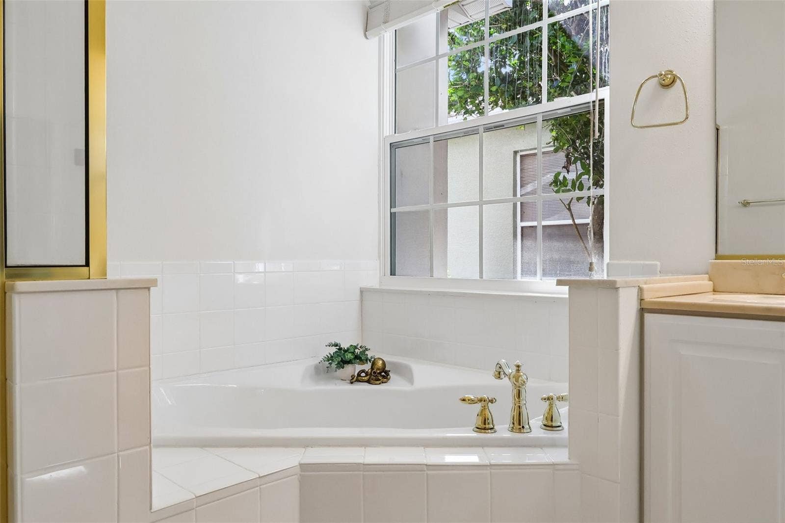 24445 MADEWOOD AVENUE, Leesburg, FL 34748 Soaking Tub