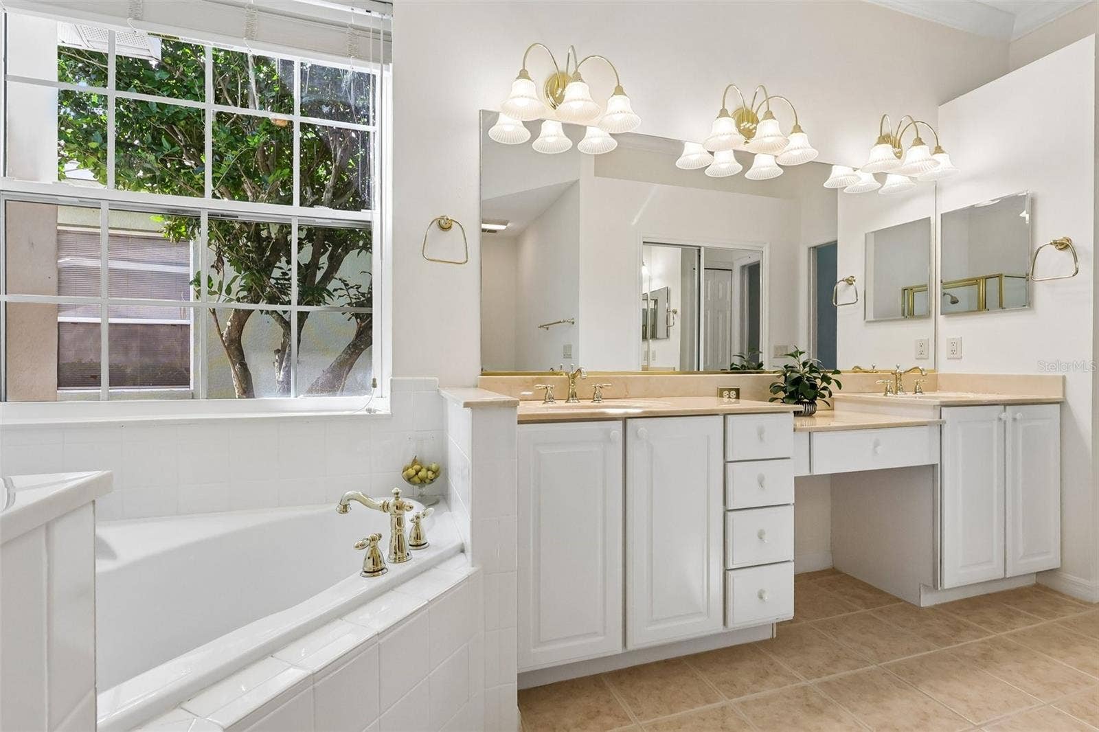 24445 MADEWOOD AVENUE, Leesburg, FL 34748 Owners Ensuite