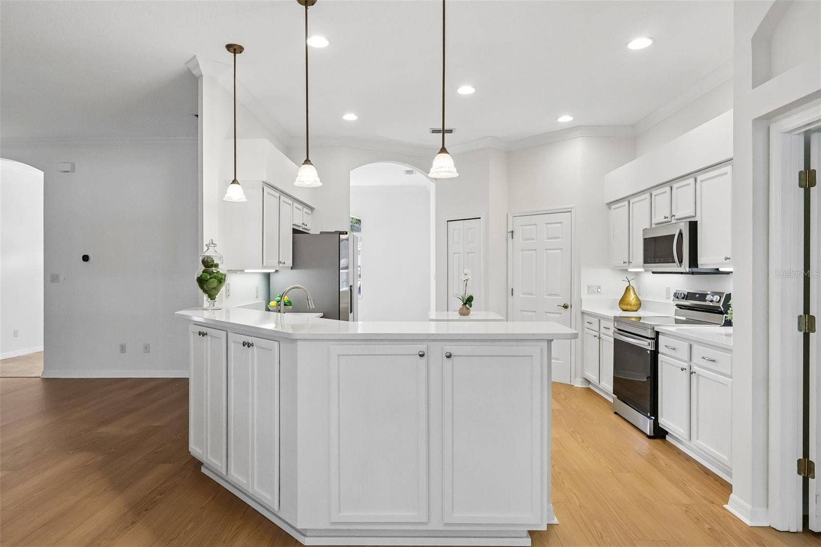 24445 MADEWOOD AVENUE, Leesburg, FL 34748 Opens to Family Room