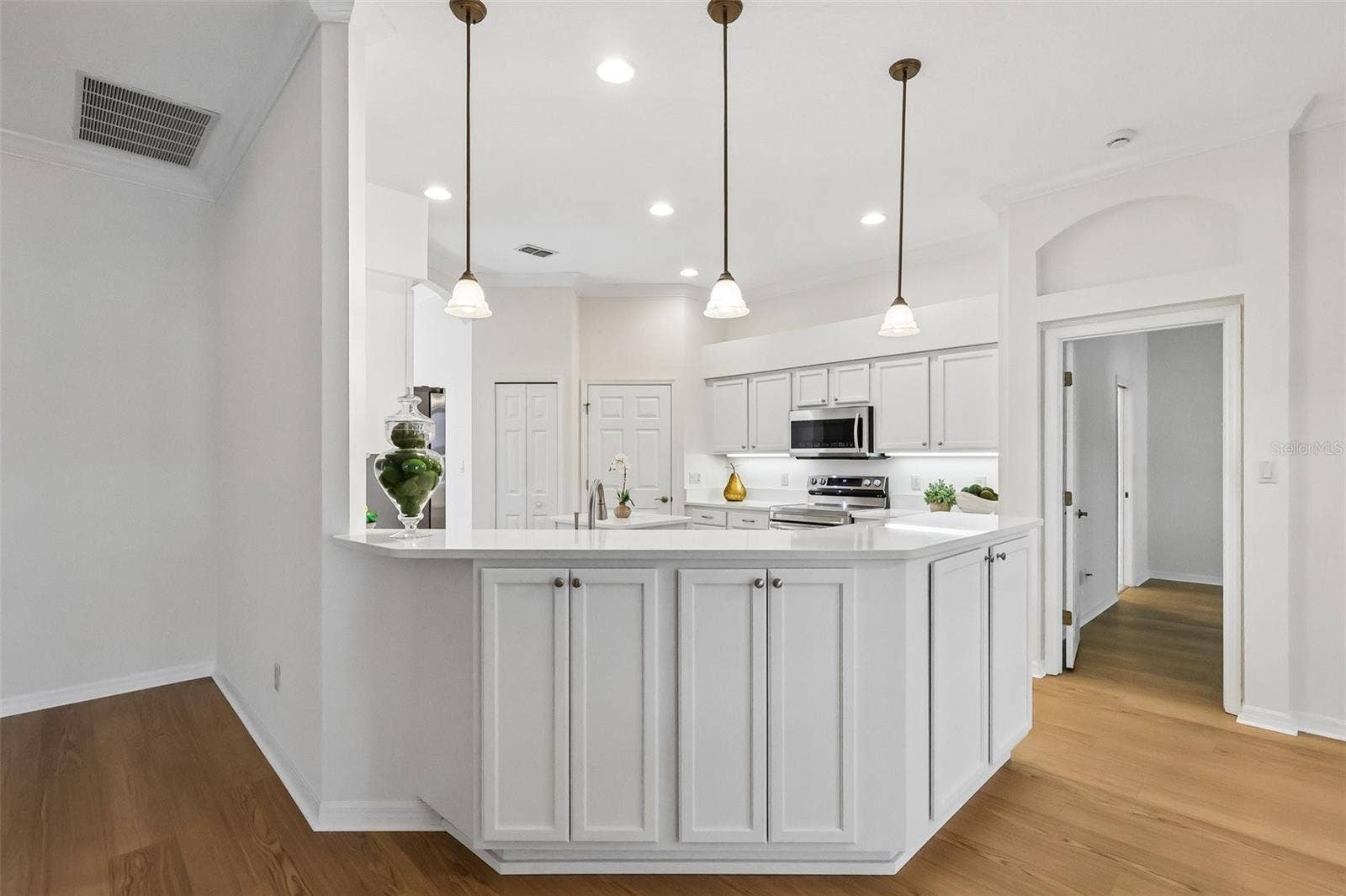 24445 MADEWOOD AVENUE, Leesburg, FL 34748 Opens to Family Room