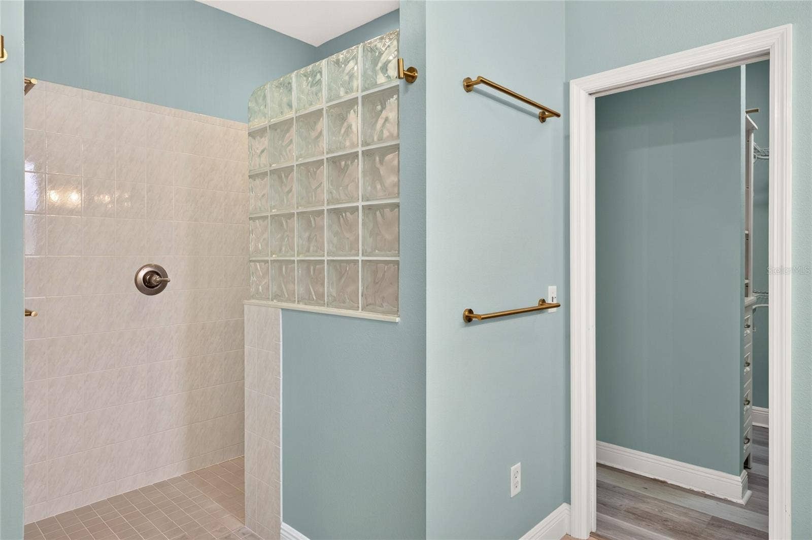 349 PACOLET TERRACE, The Villages, FL 32162