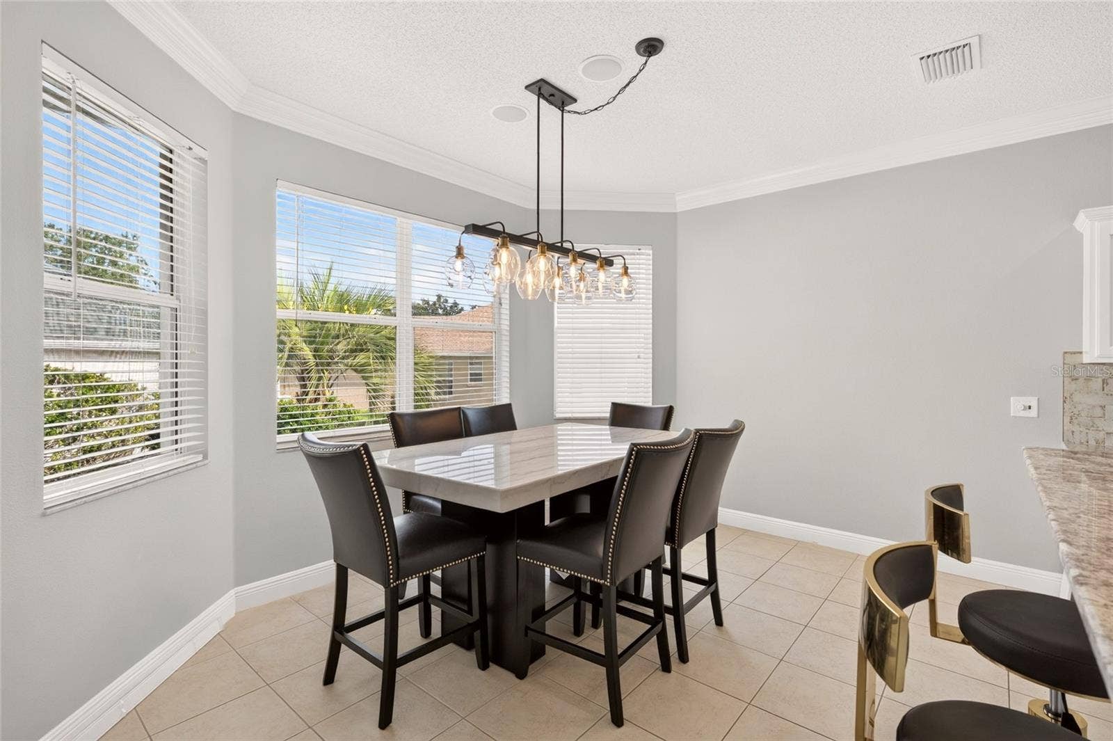 349 PACOLET TERRACE, The Villages, FL 32162