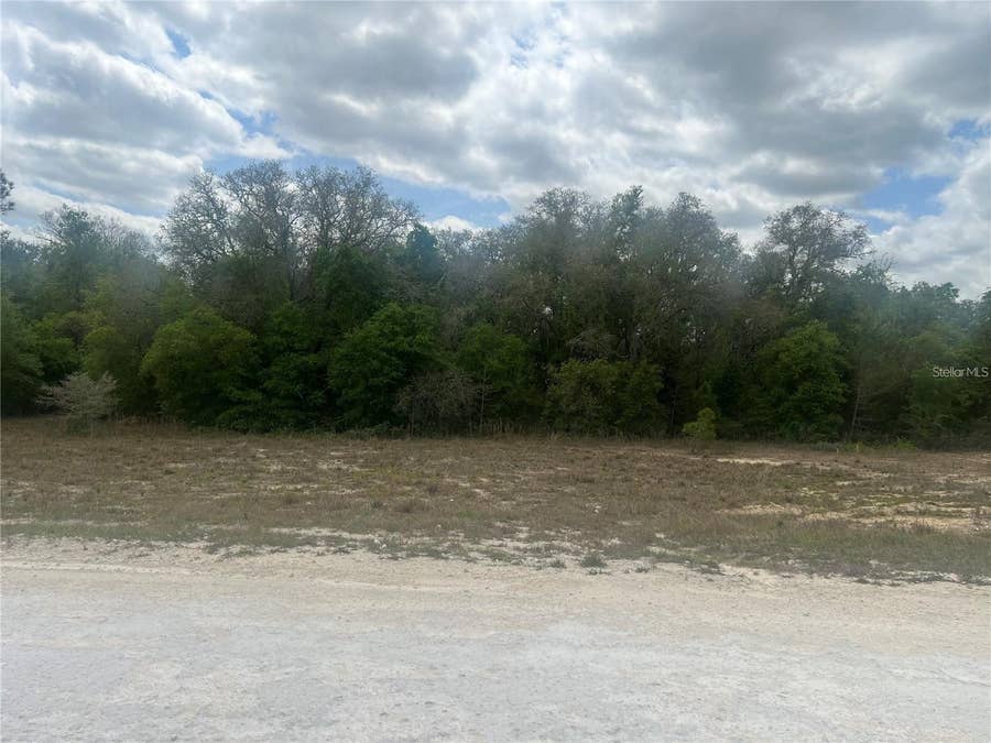Property photo for CLEFT ROCK ST, Webster, FL