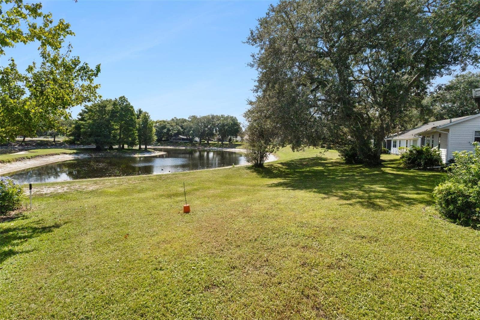 Pond view
