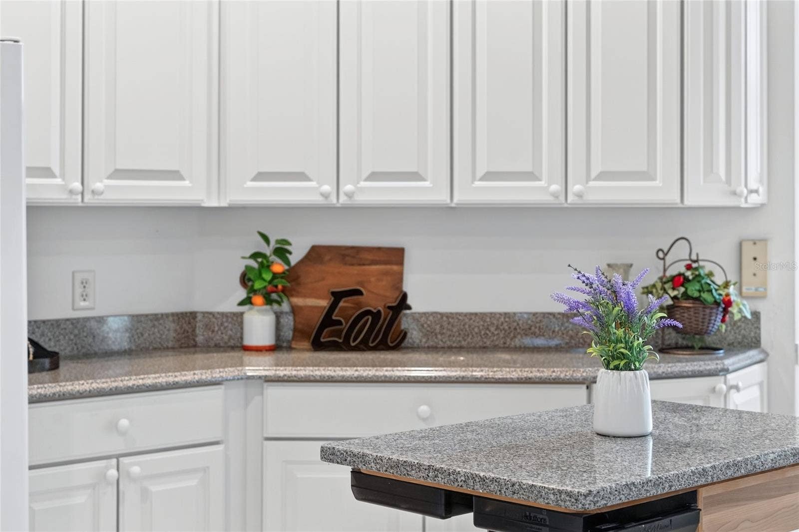 9245 SE 169TH BENTLEY STREET, The Villages, FL 32162 9245 SE 169TH BENTLEY STREET, The Villages, FL 32162