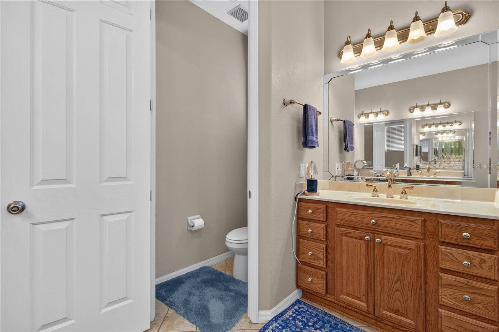 5353 TREASURE VIEW WAY, Leesburg, FL 34748 5353 TREASURE VIEW WAY, Leesburg, FL 34748