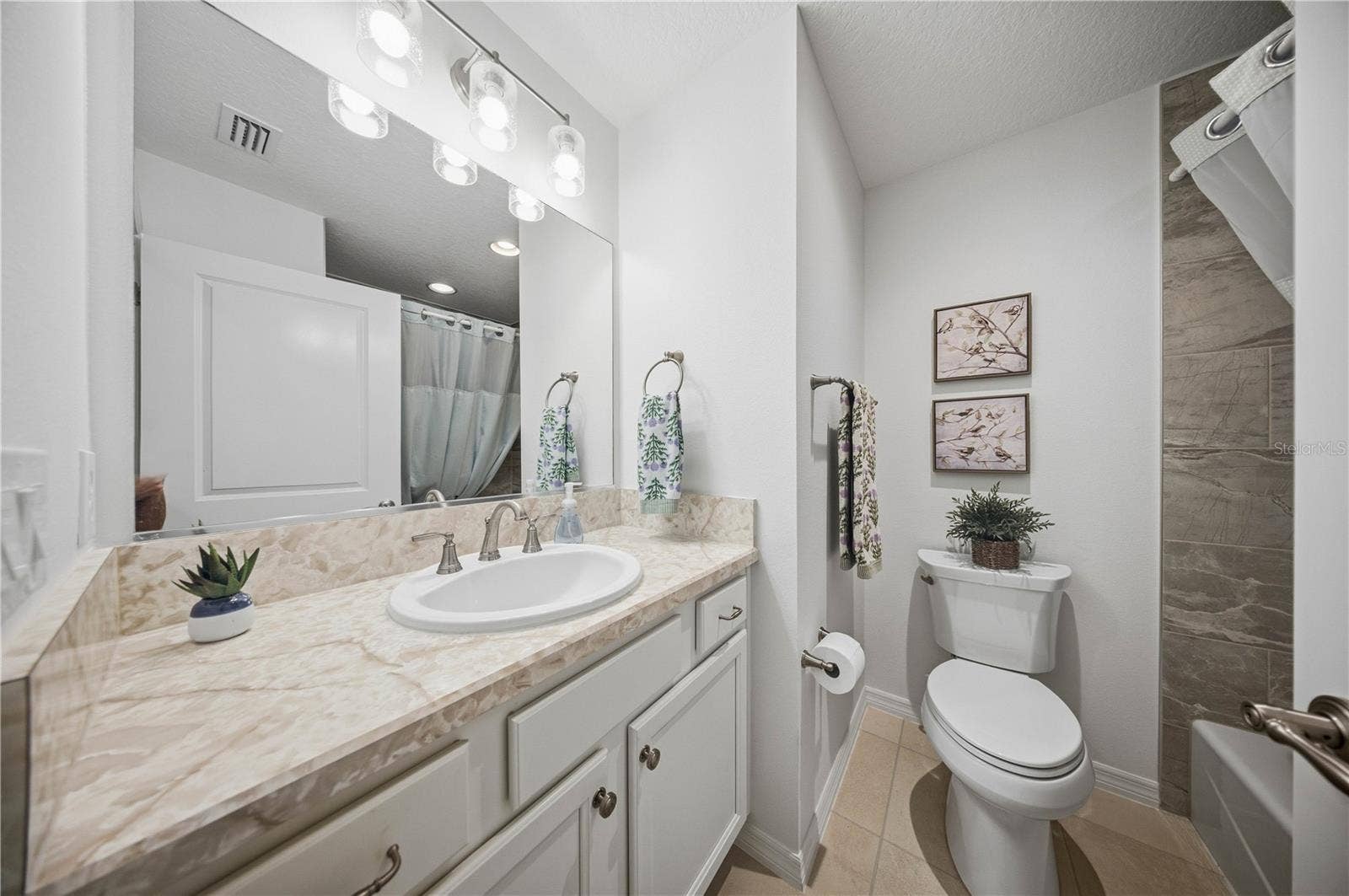 2505 DREW CIRCLE, The Villages, FL 32163 Guest Bathroom