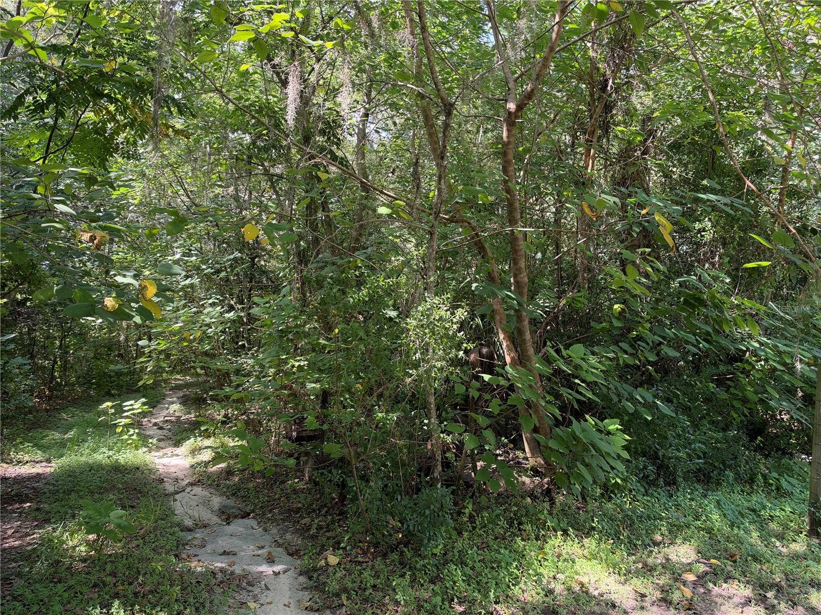 0 SE 118TH PLACE, Belleview, FL 34420 Lot Road