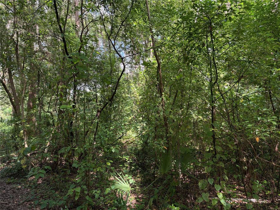 Property photo for 0 SE  118TH PLACE, Belleview, FL