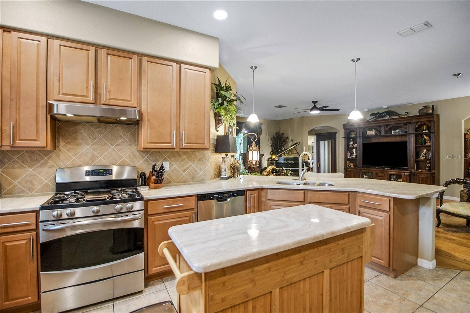 4513 ANTIETAM CREEK TRAIL, Leesburg, FL 34748 4513 ANTIETAM CREEK TRAIL, Leesburg, FL 34748